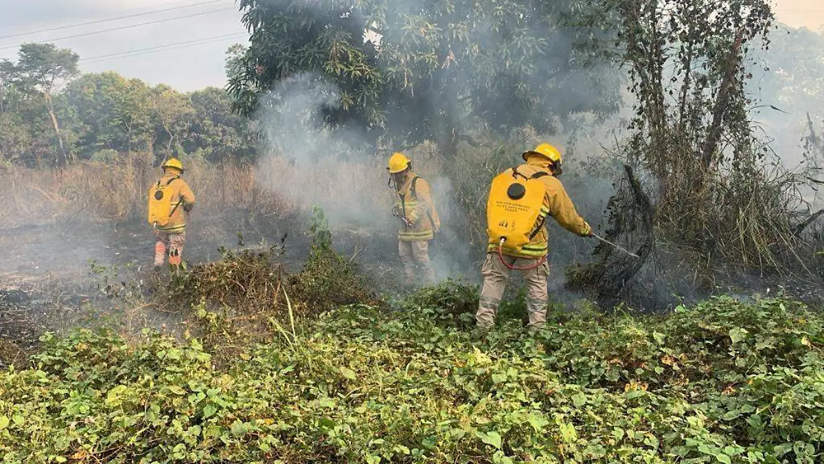 bomberos apagando incendio